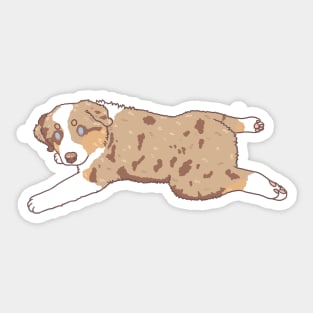 Red Merle Aussie Puppy Sticker